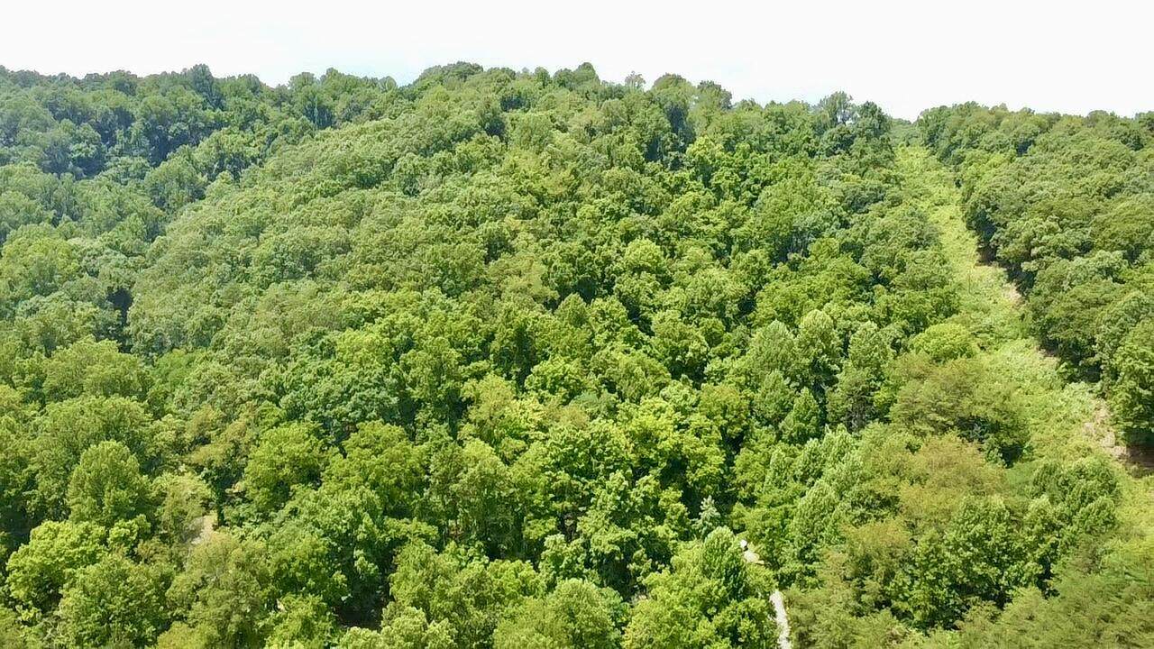  Powell Mountain Rd - Photo 1