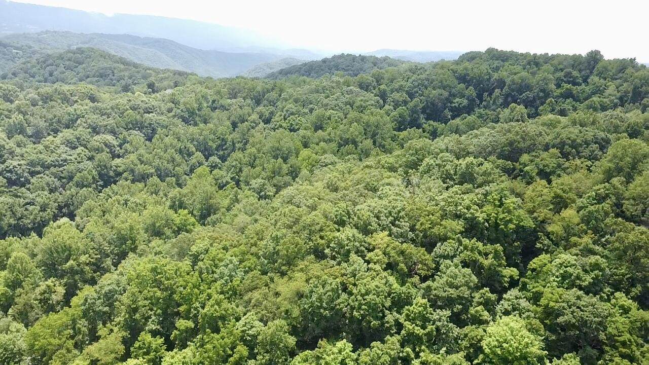 https://bt-photos.global.ssl.fastly.net/greenbrier/1280_boomver_2_26-513-2.jpg