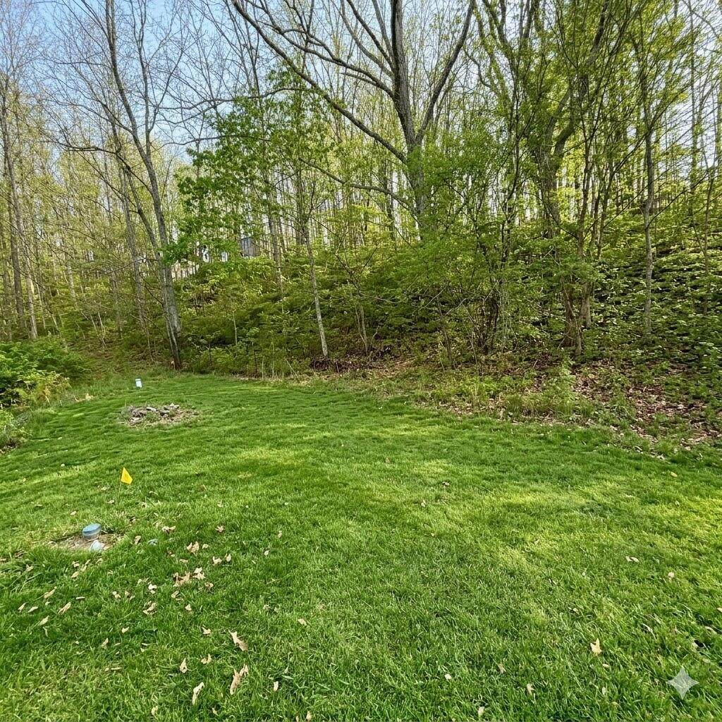https://bt-photos.global.ssl.fastly.net/greenbrier/orig_boomver_2_26-70-2.jpg