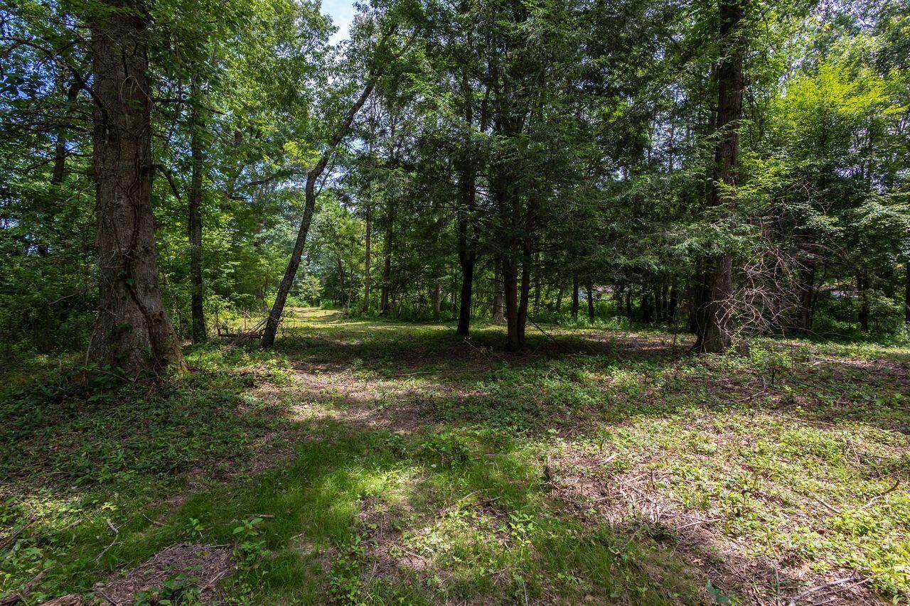 233 Patterson Creek Rd - Photo 1