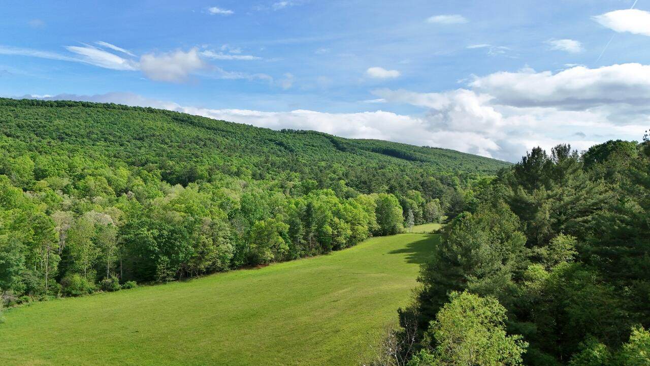 144+/- Ac Moncove Lake Road - Photo 1
