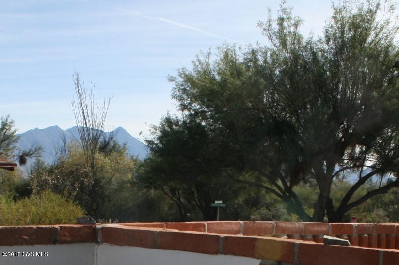 260 Paseo Aguila - Photo 1