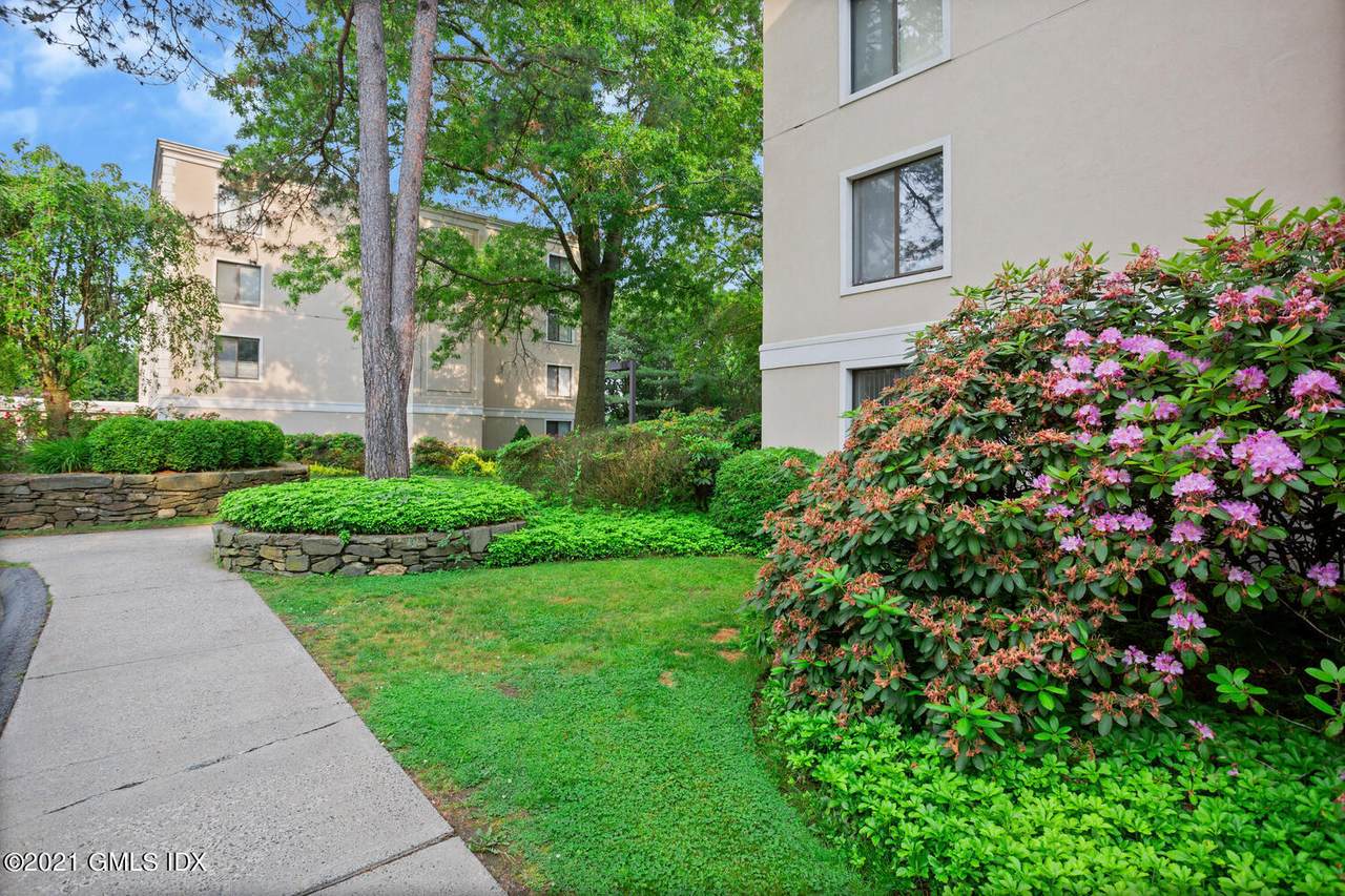 1535 Putnam Avenue - Photo 1