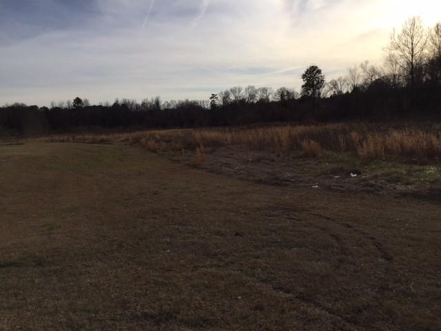 00 Us Highway 76 - Photo 1