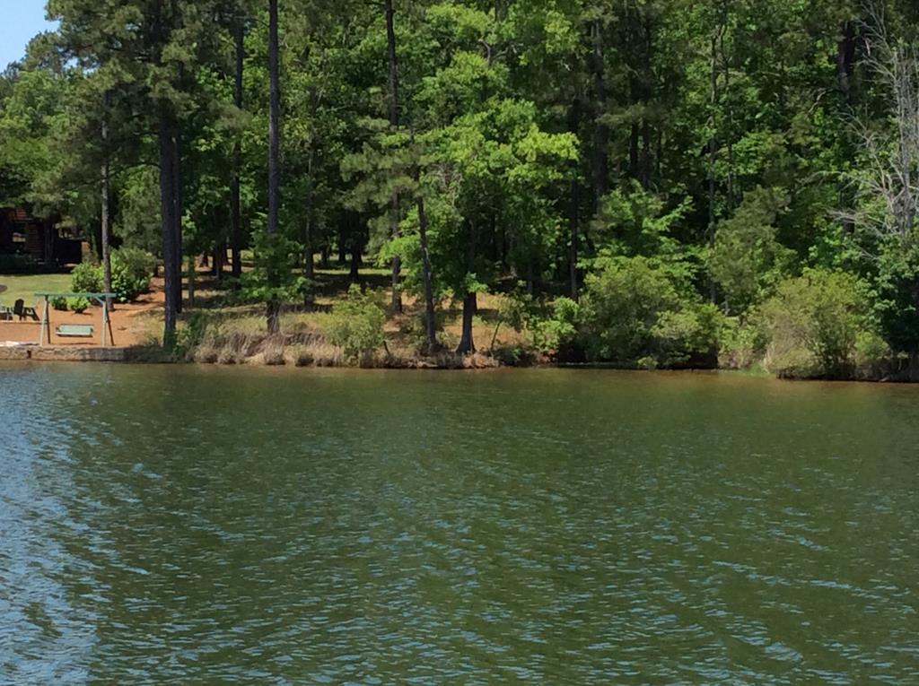 316 Commonwealth Drive - Photo 1