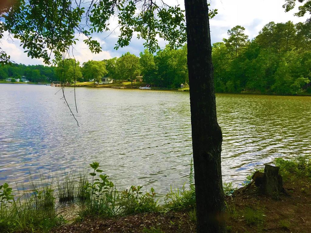 106 Long Point Road - Photo 1