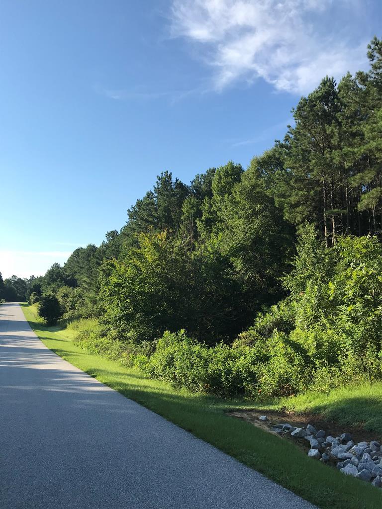 875 Eagles Harbor Drive - Photo 1