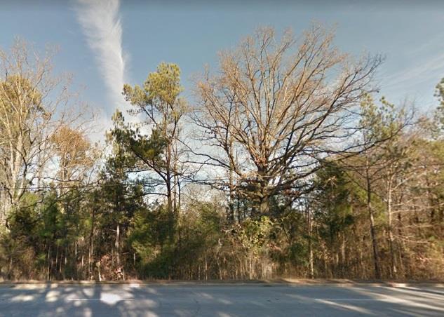 Lot 6 Montague Ave Ext - Photo 1