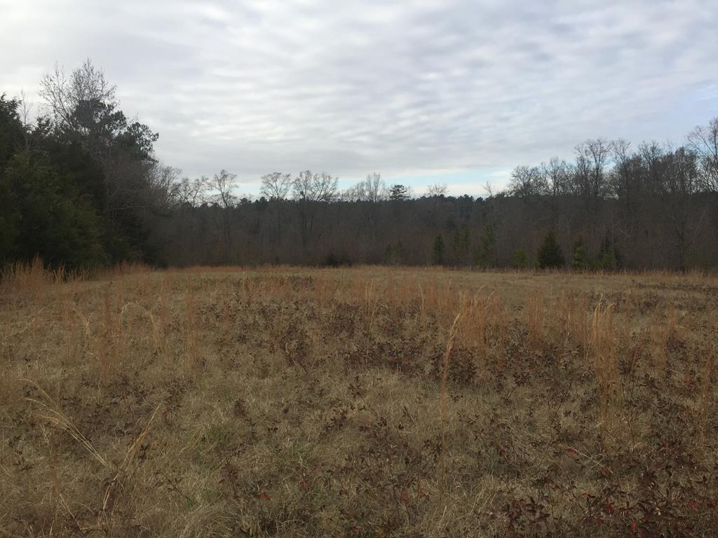 745 Winona Church Road - Photo 1
