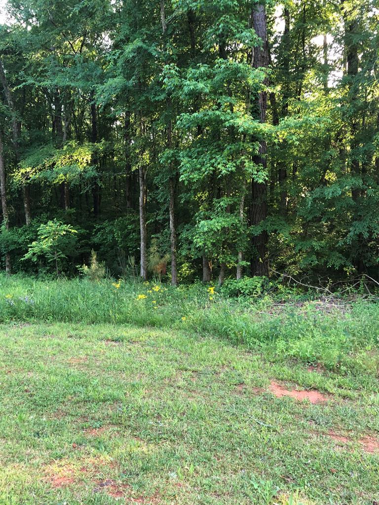 0 Hwy 248 - Photo 1
