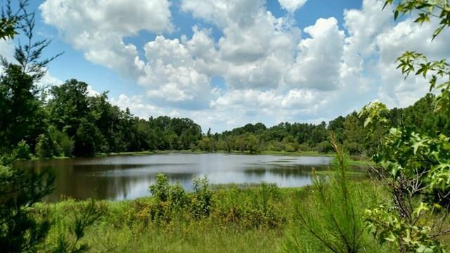 0 00 Hwy 71 W - Photo 1