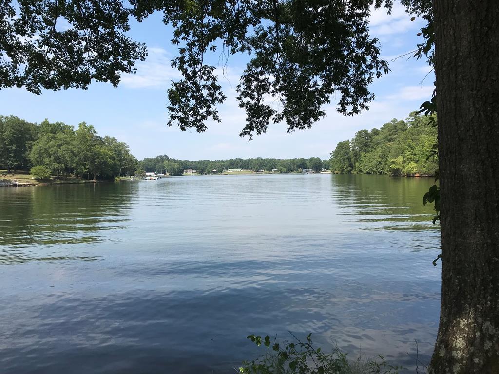 Lot 35 King Cir - Photo 1