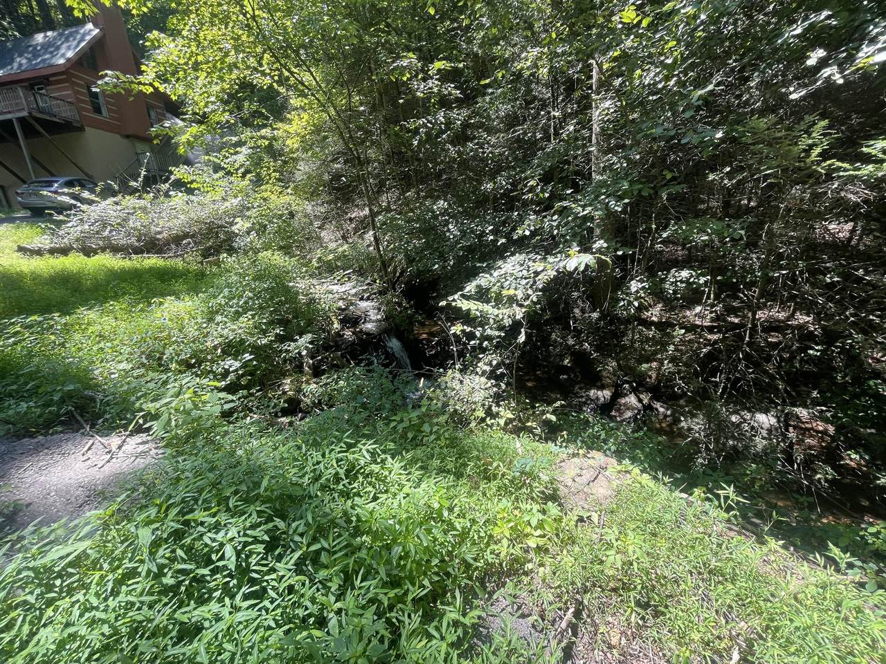 0 Silver Poplar Ln - Photo 1