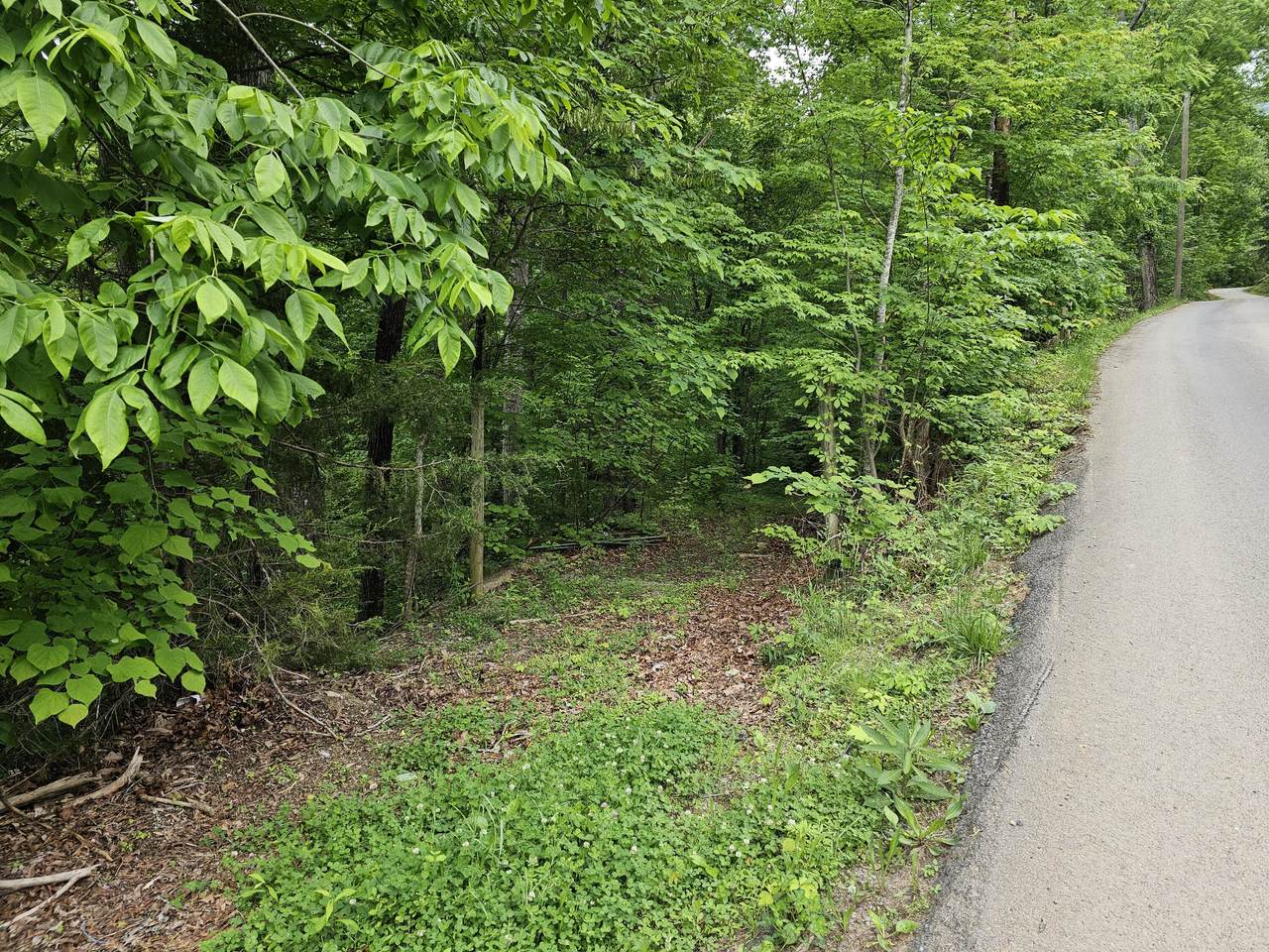 19 Ac High View Rd Road - Photo 1