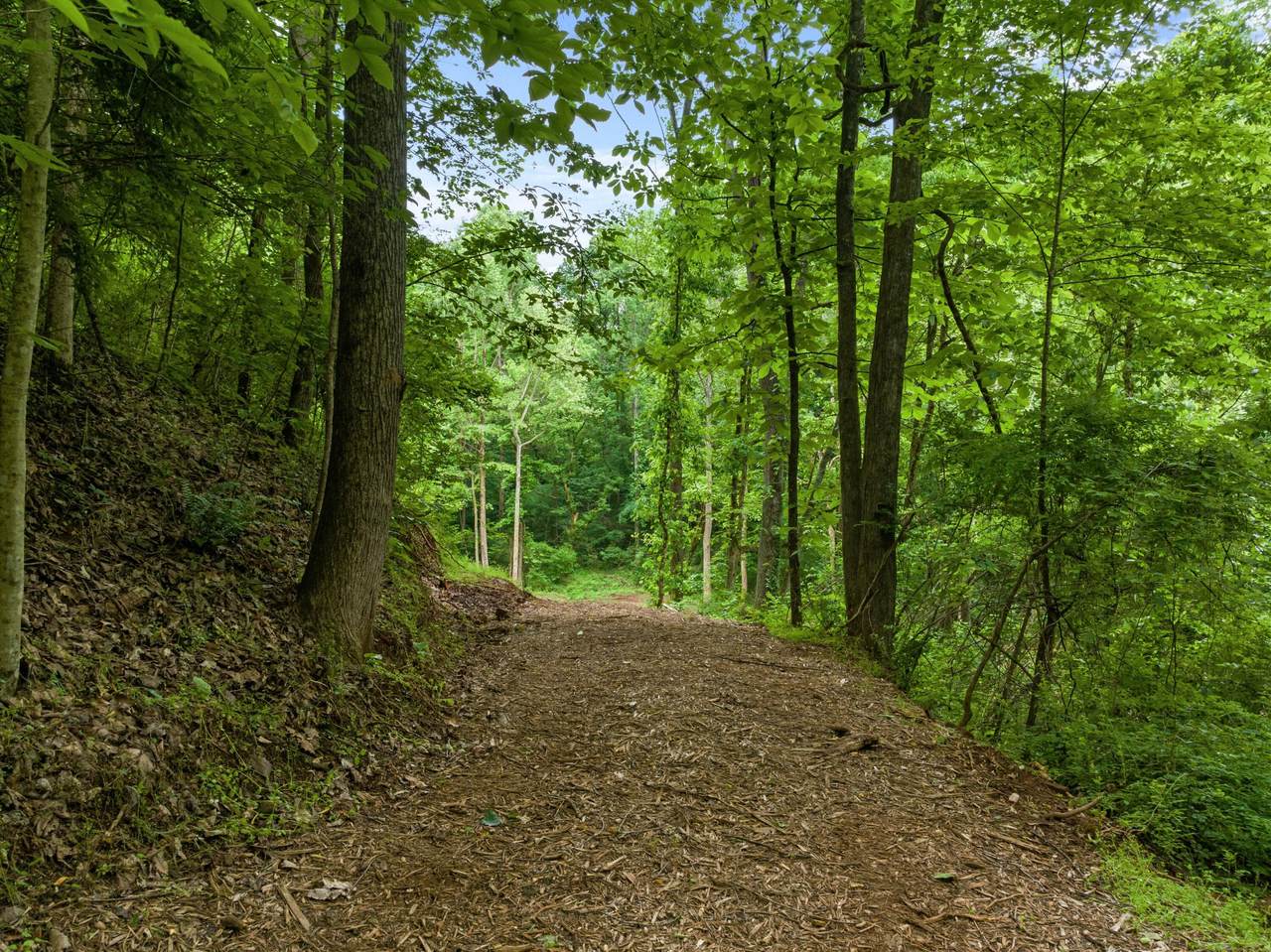 1260 Tarwater Road - Photo 1