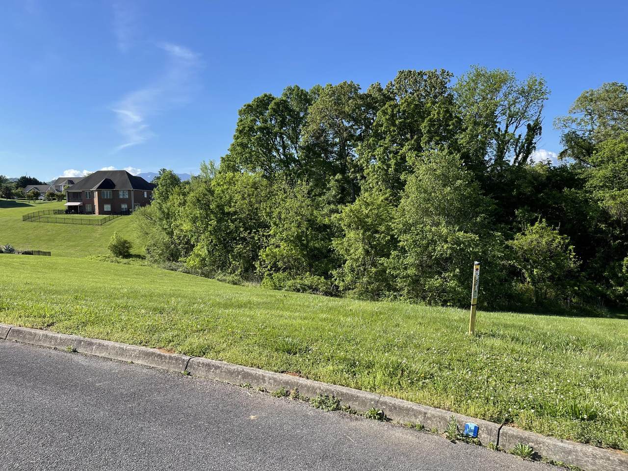 Lot 10 Alum Cave Cove - Photo 1
