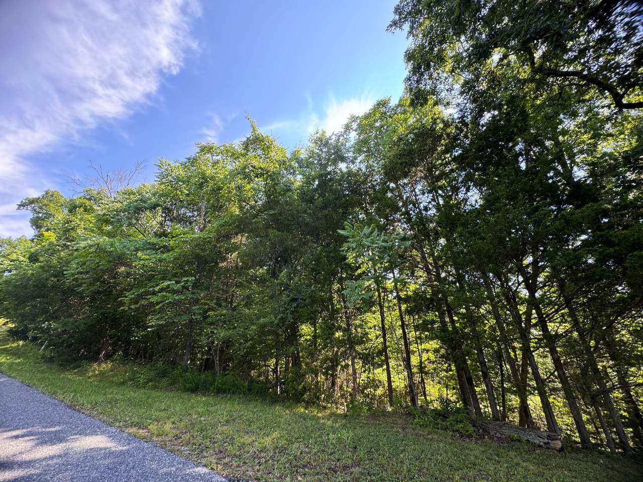 1.18 acres Oak Hammock Lane - Photo 1