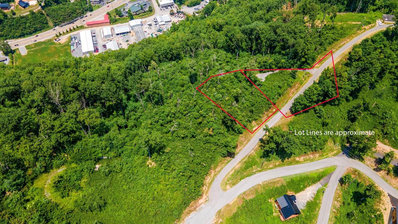 766 Ellis Ogle Rd (Lots 3 & 4) - Photo 1