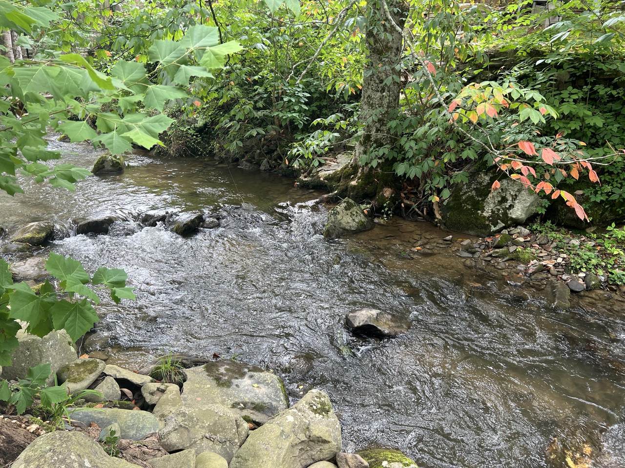 https://bt-photos.global.ssl.fastly.net/gsmar/1280_boomver_1_302237-2.jpg