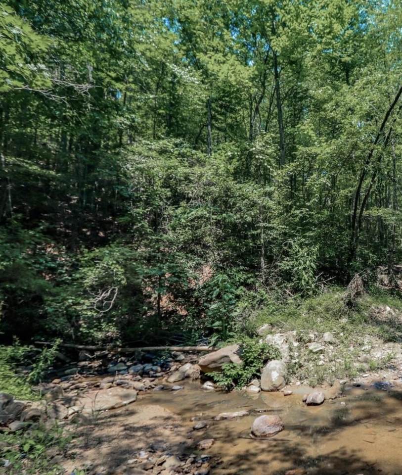 1120 Yellow Springs Road - Photo 1