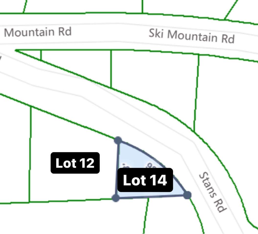 12 and 14 Ski Mountain Road/Stans Road - Photo 1
