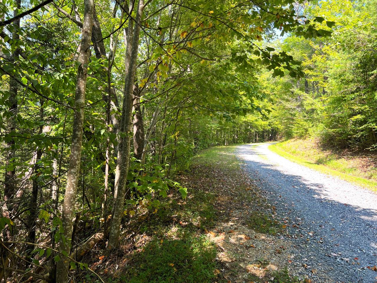 Tract 8 Faith Mountain Way - Photo 1