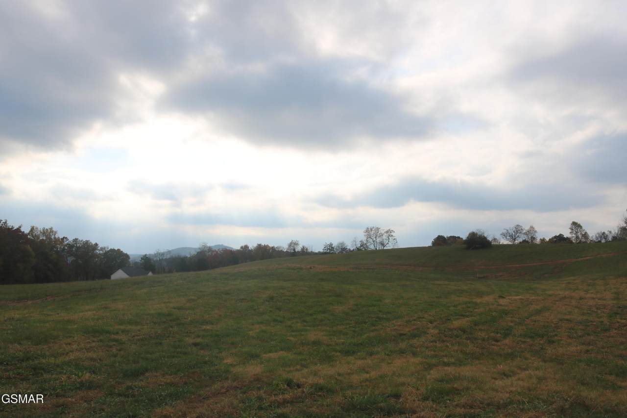 https://bt-photos.global.ssl.fastly.net/gsmar/1280_boomver_1_303700-2.jpg