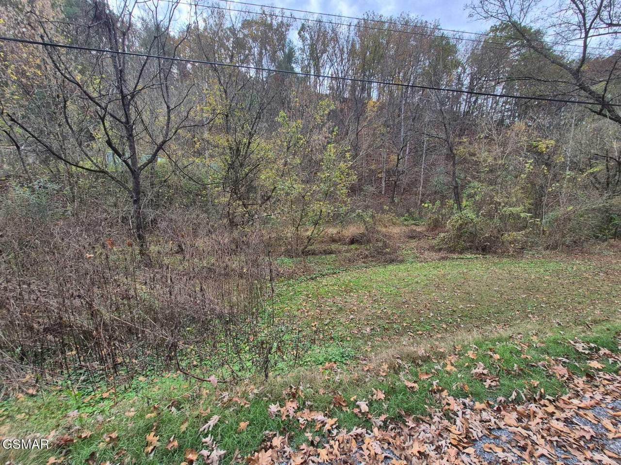 2314 Henderson Springs Road - Photo 1