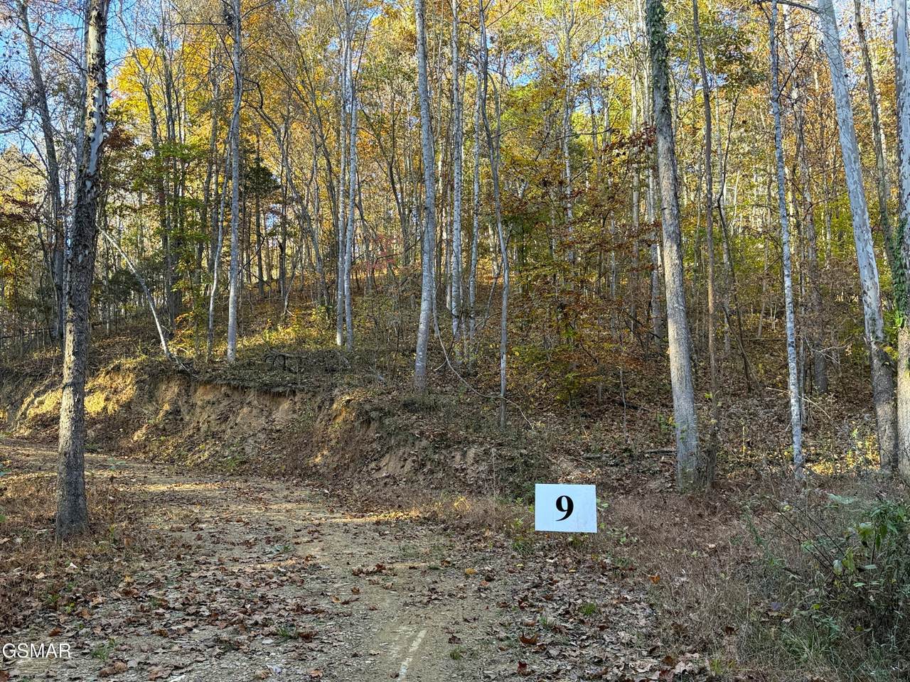 Tract 9 Topaz Way - Photo 1