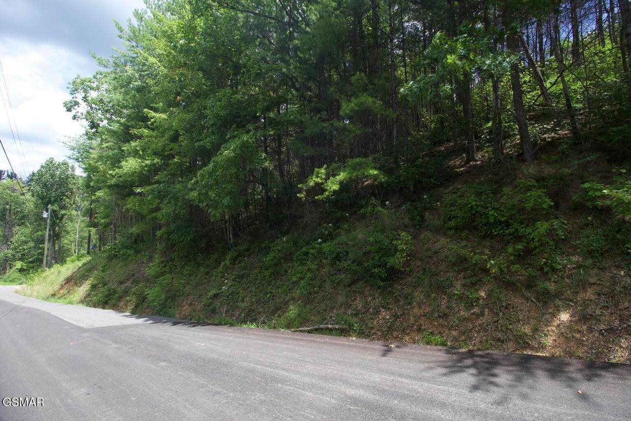3276 Emerald Springs Loop - Photo 1