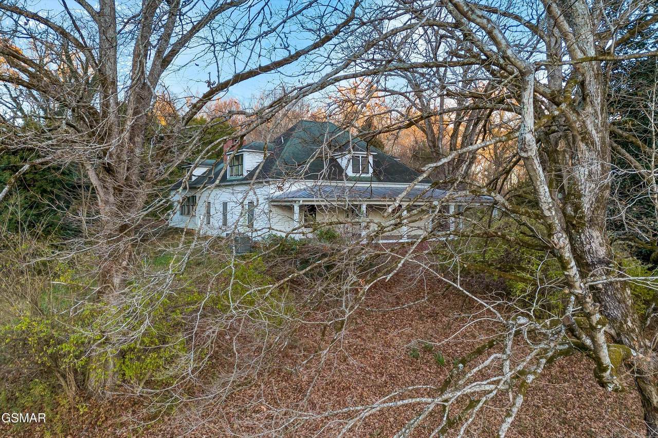 6441 Thorn Grove Pike - Photo 1