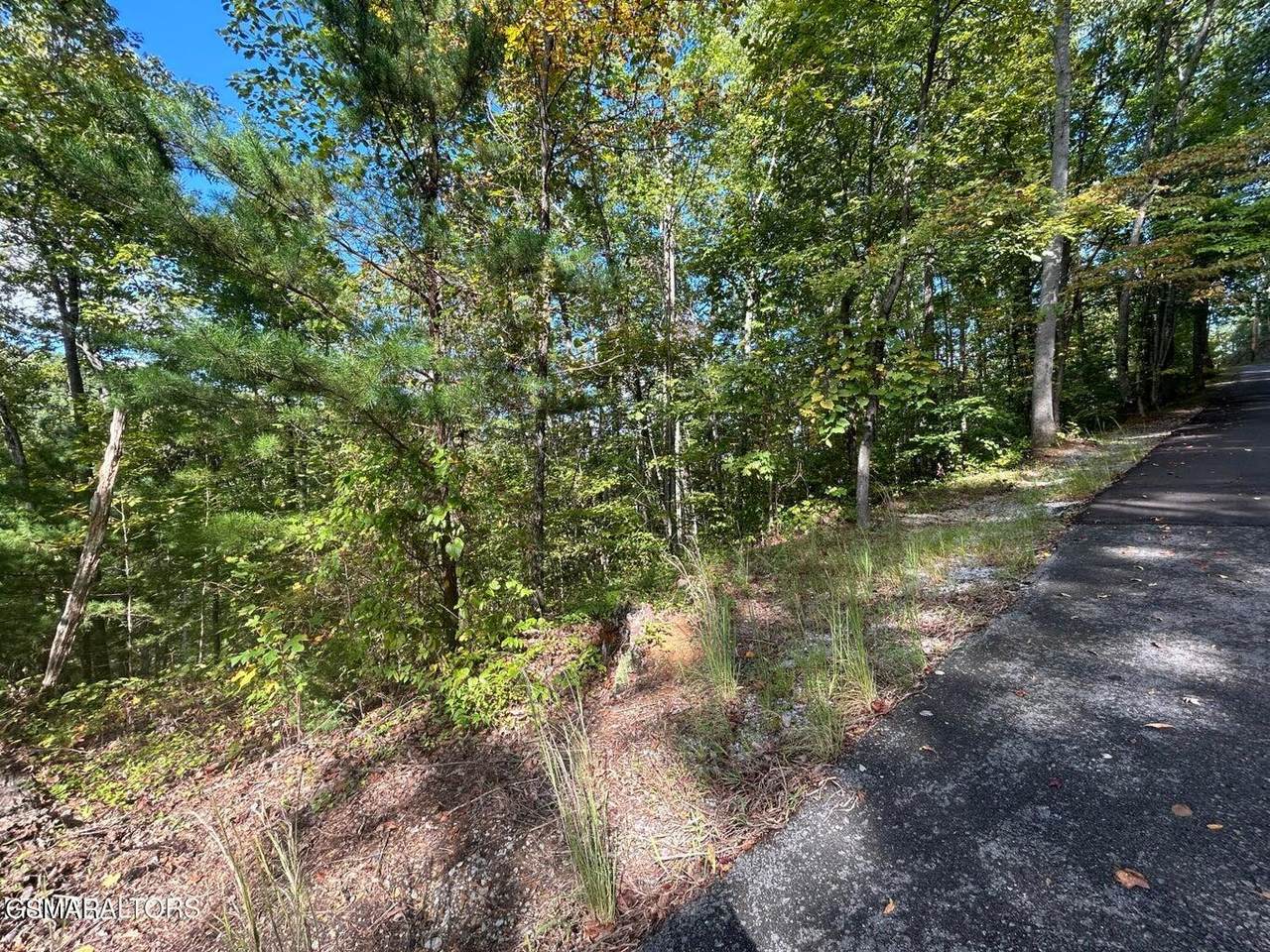 Lot 9 Wildcat Ridge Road - Photo 1
