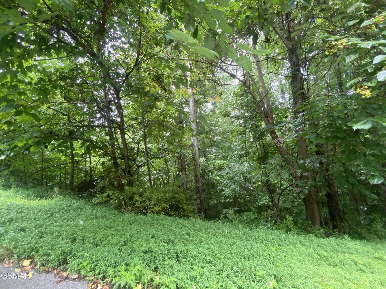0 Eagles Cove Parkway - Photo 1