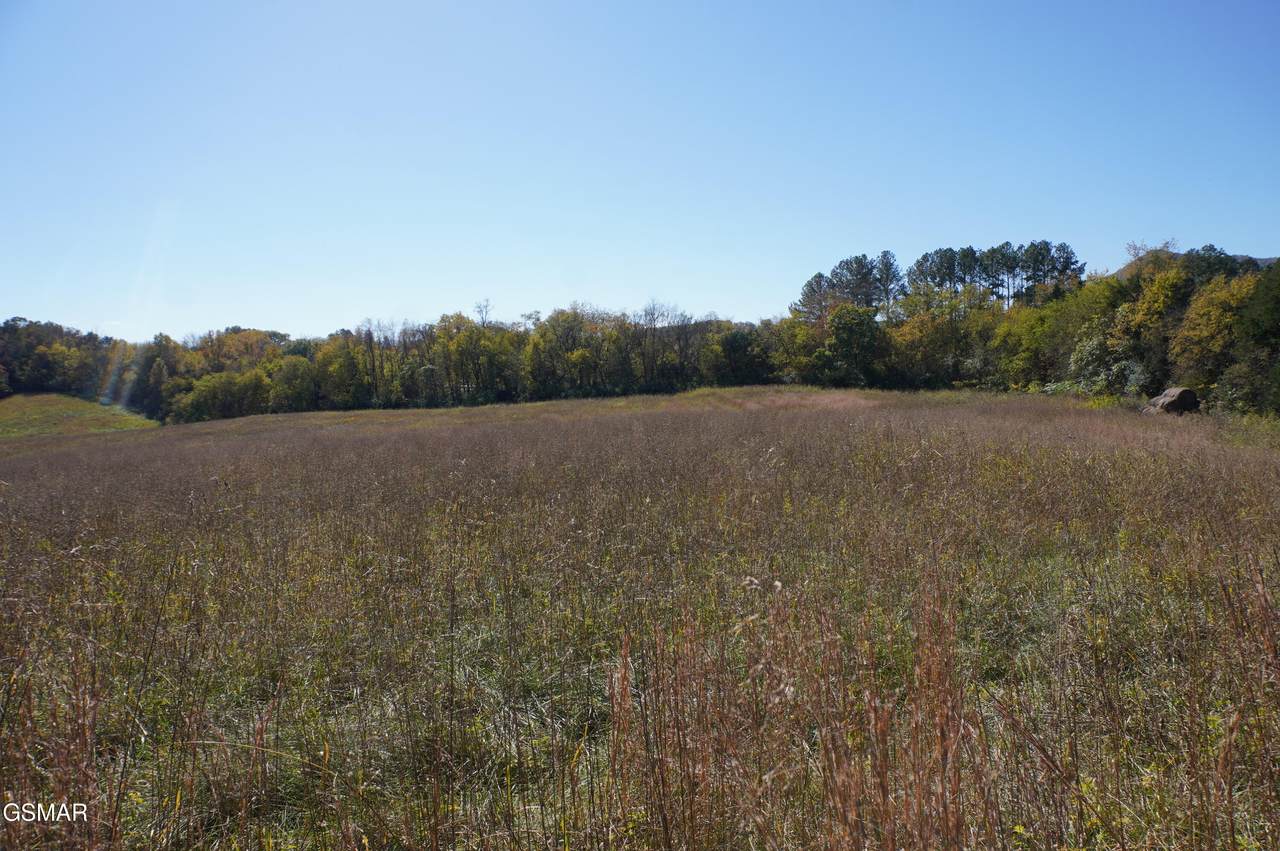 Par 152 Sulpher Springs Road - Photo 1