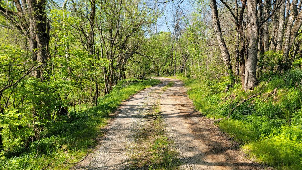 1909 Buck Hollow Road - Photo 1