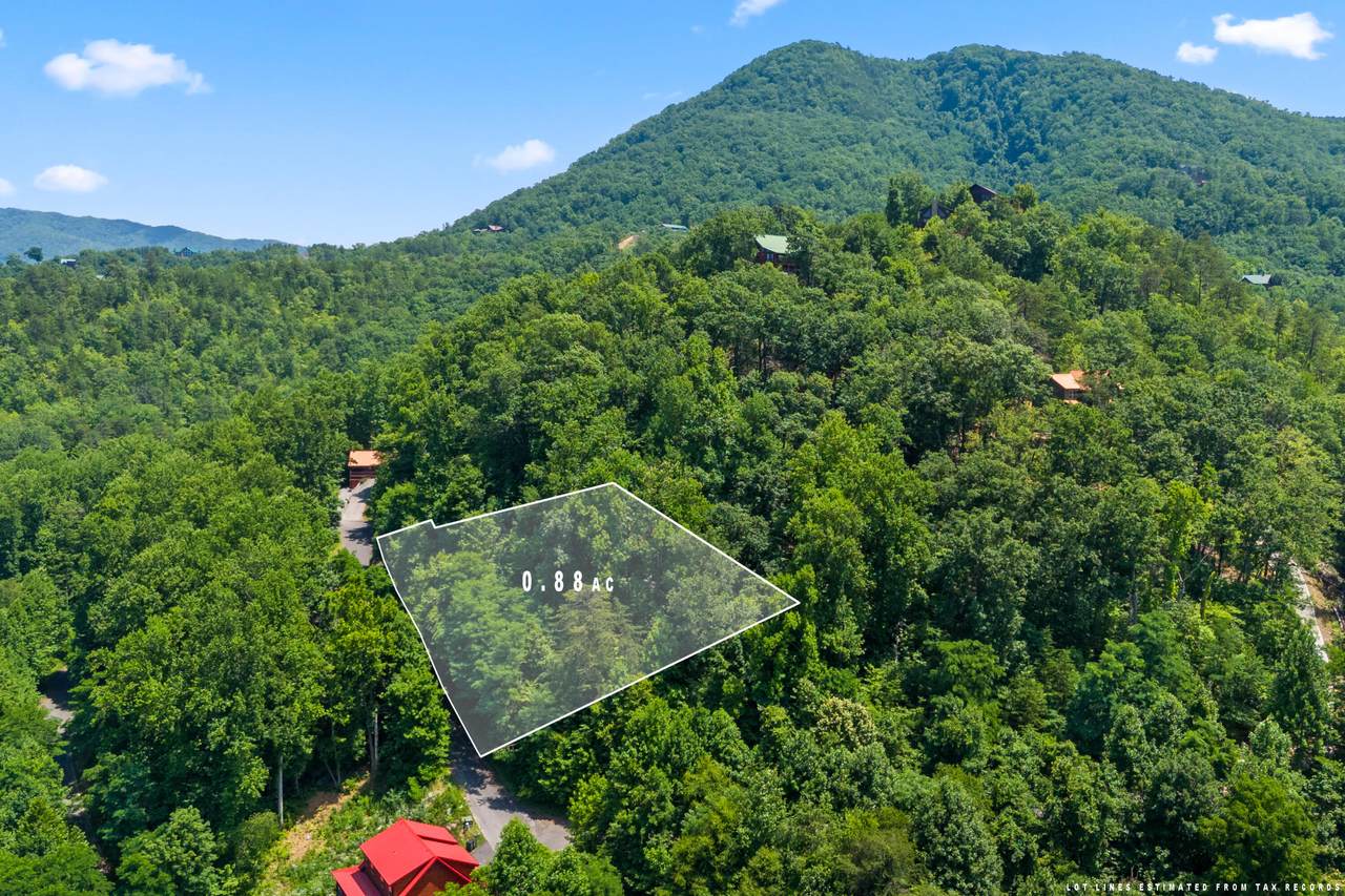 Lot 23 Red Wolfe Road - Photo 1