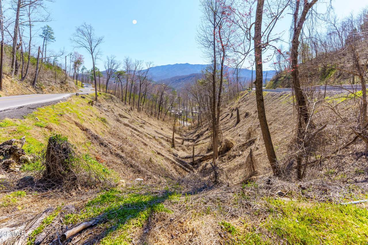 419 Campbell Road - Photo 1