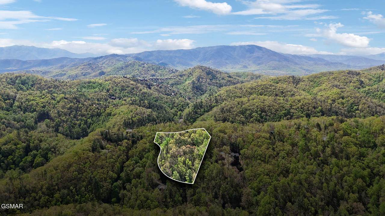 lot 10 Cove Creek Way - Photo 1
