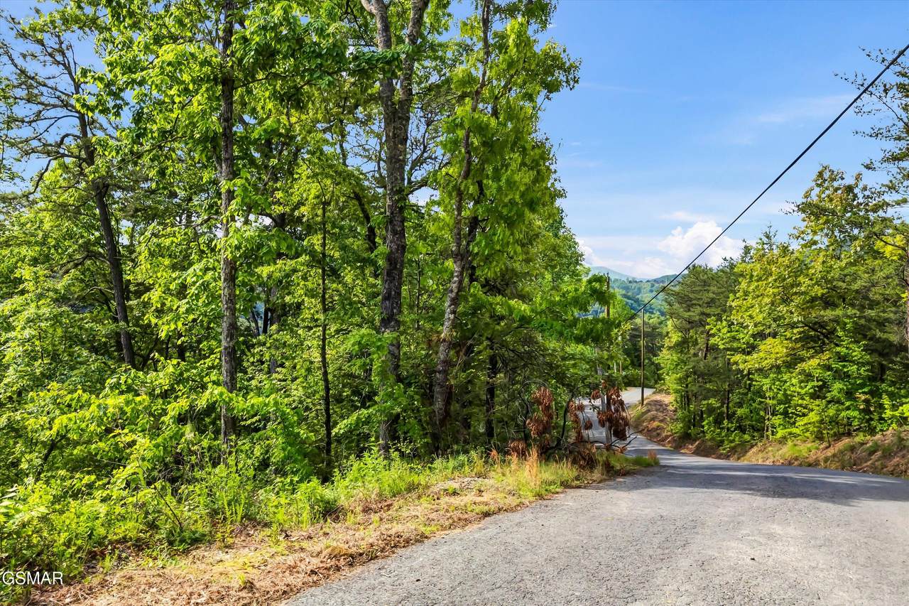 Lot 1 Hatcher Top Road - Photo 1
