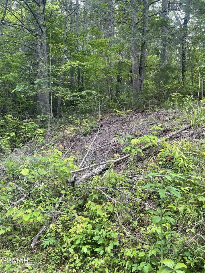 1115 Tranquility Hills Way - Photo 1