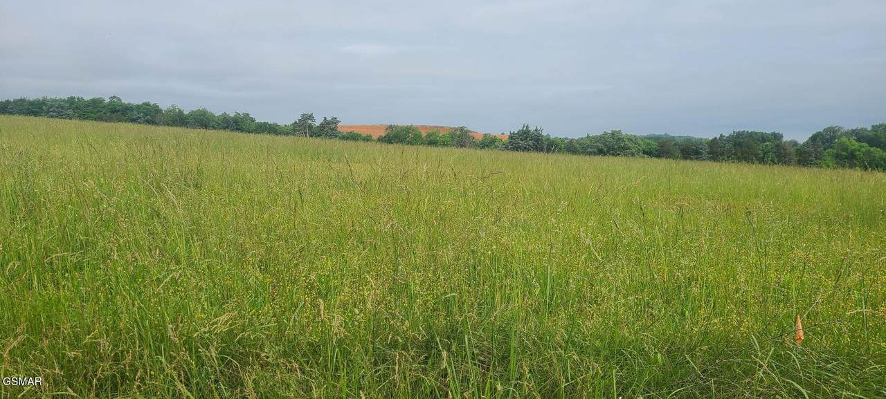 Lot 5 Valley Home Road - Photo 1