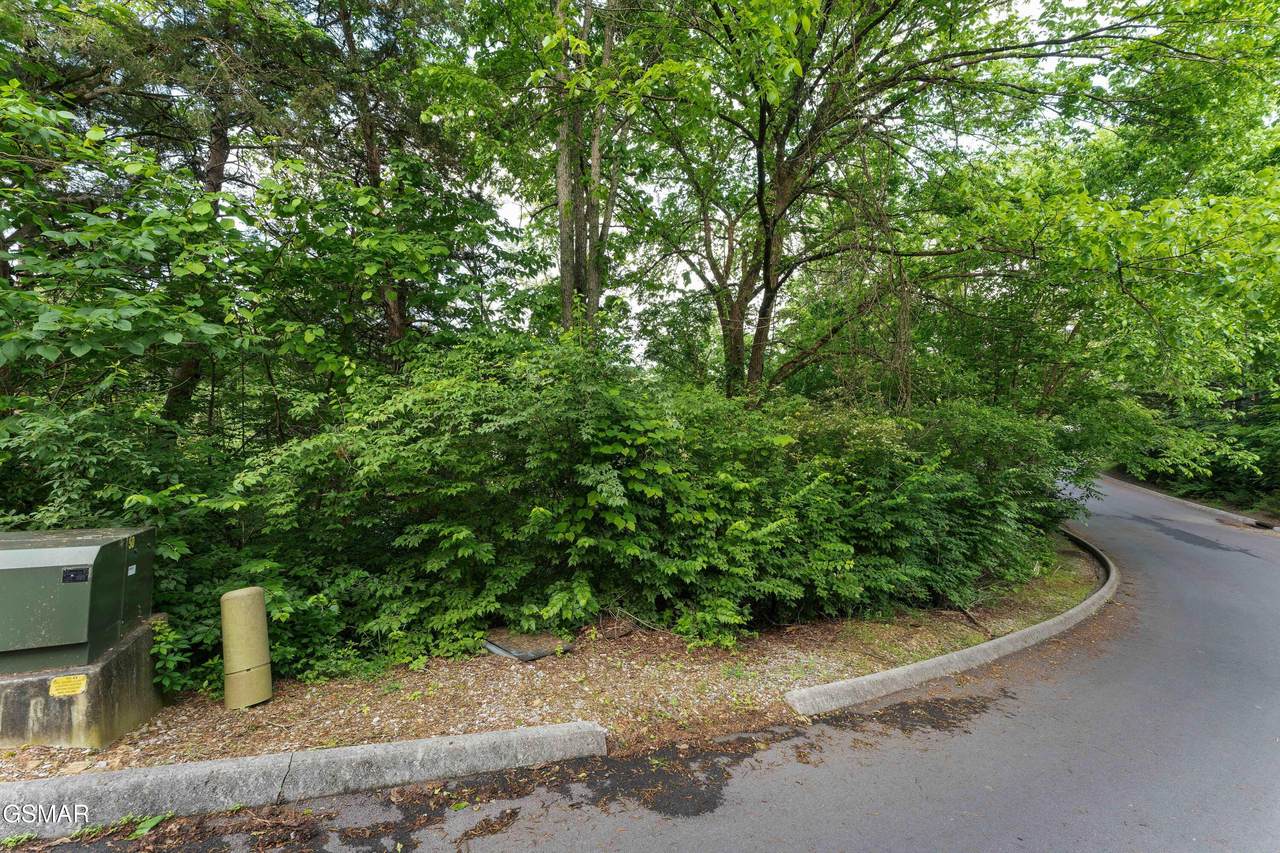 Lot 115 Alpine Mountain Way - Photo 1