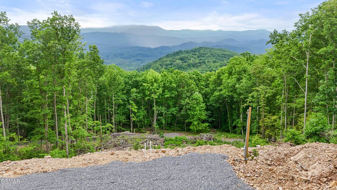1038 Clingmans View - Photo 1