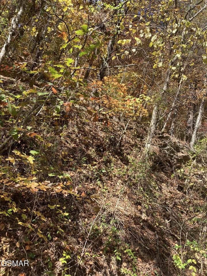 Lot 2 Meadow View Road - Photo 1