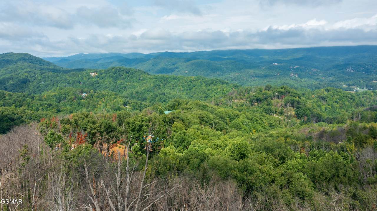 Lot 2 Headrick Lead - Photo 1