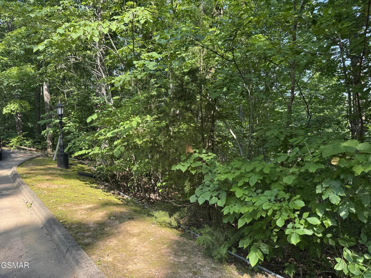 2432 Hawks Nest Way - Photo 1