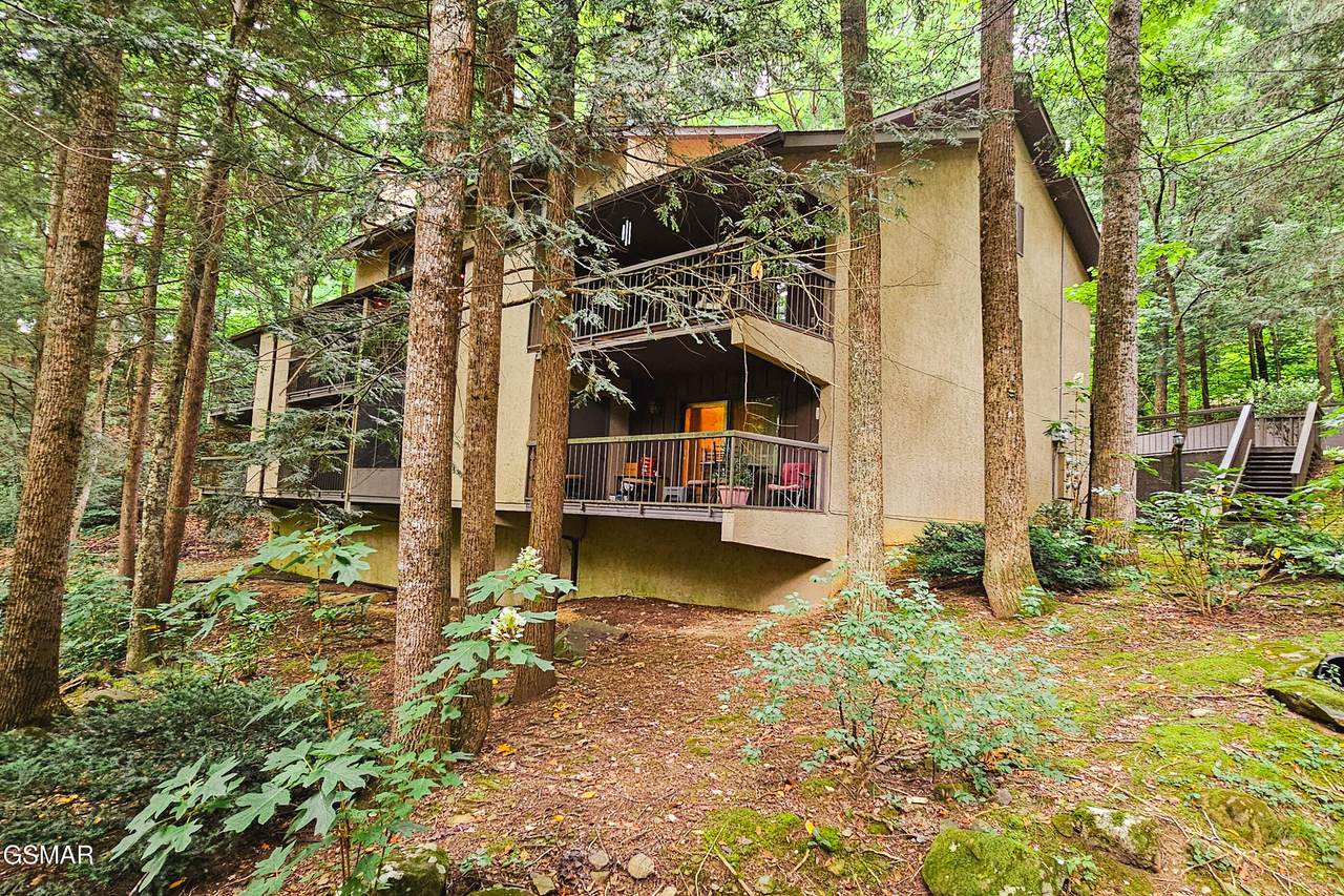 1235 Ski Mountain Road - Photo 1