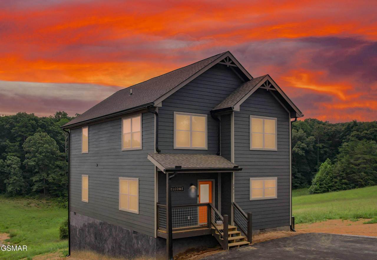 207 Lily Jo Way Way - Photo 1