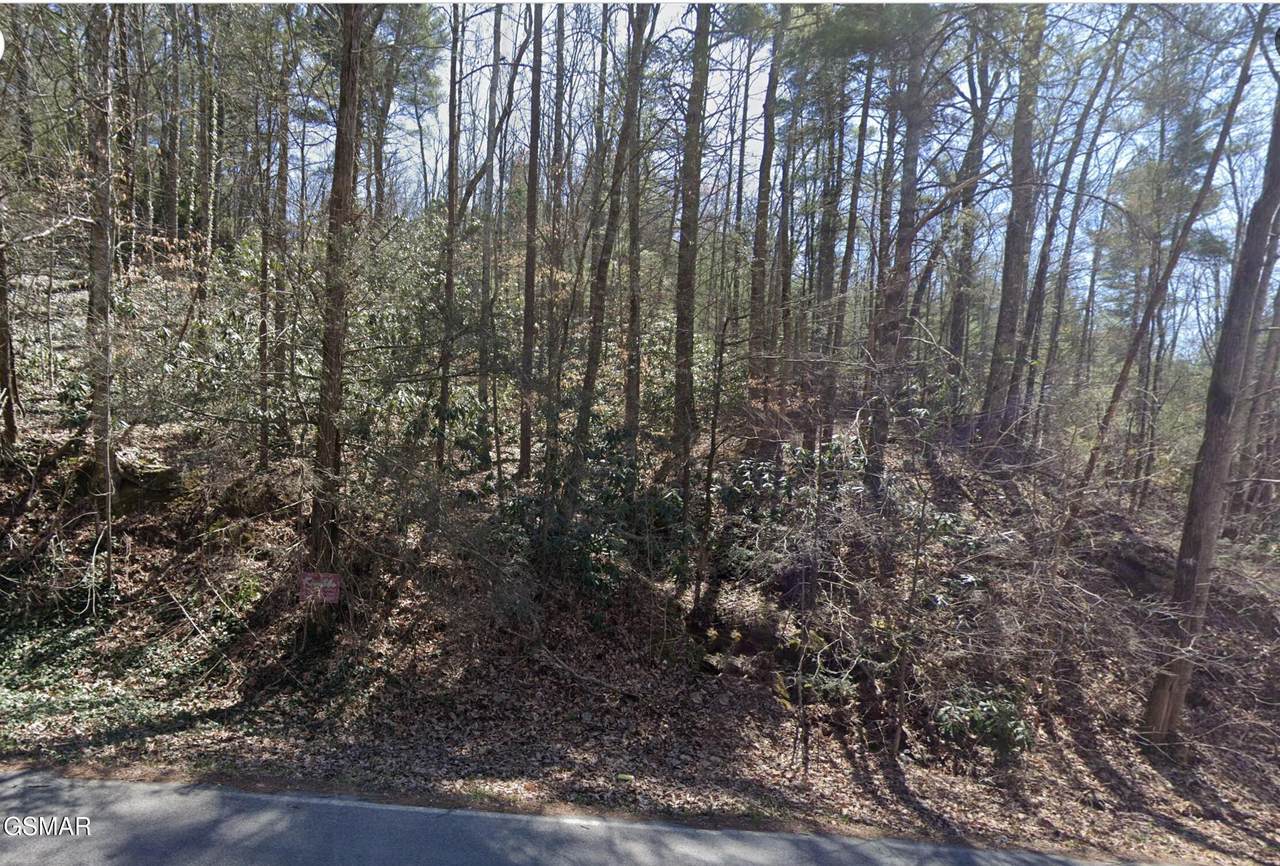 0 Alpine Drive - Photo 1