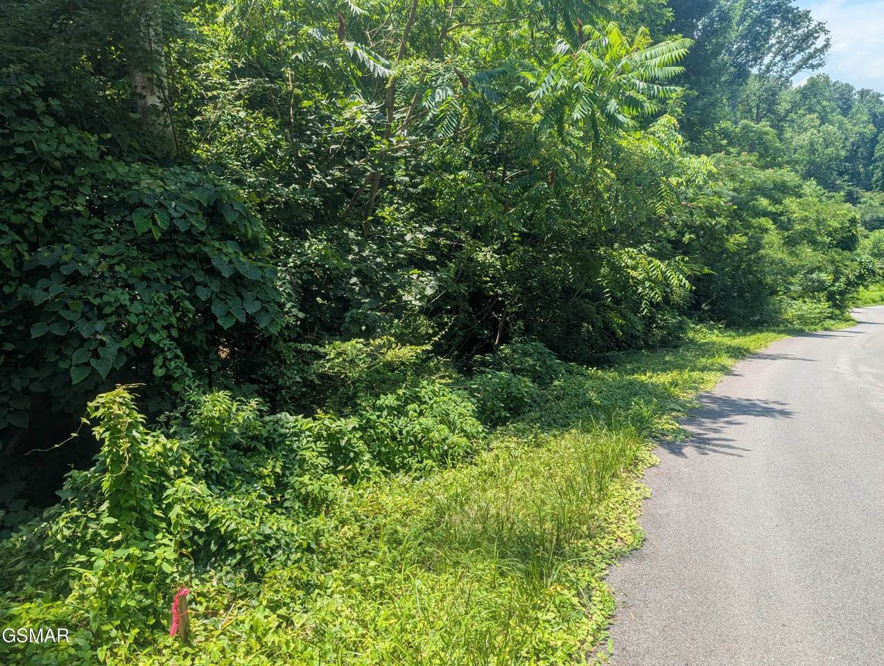 0 Beech Branch Road - Photo 1